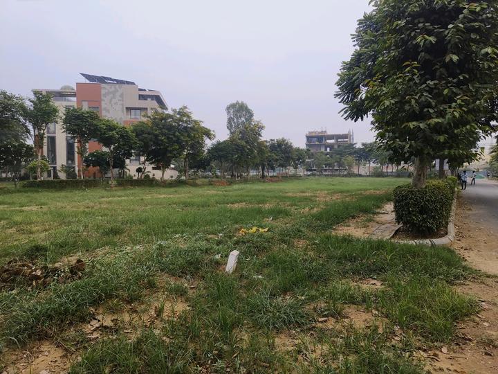 Vatika India Next Plot Main Image 1