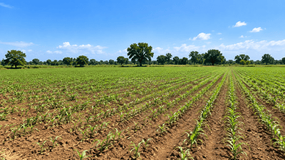 Image of 10648 Sq.ft Residential Plot / Land for sale in Dabhoda, Gandhinagar for Rs. 165000000
