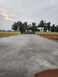 CKP CASTEL Plot View 2