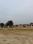 Dwarika estate  Plot View 2