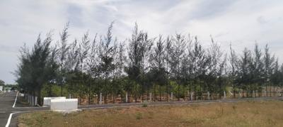 Image of 1500 Sq.ft Residential Plot / Land for sale in Thachanallur, Tirunelveli for Rs. 400000
