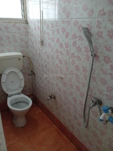 Bathroom Image of 780 Sq.ft 2 BHK Apartment / Flat for rent in Kalyani Nadia for Rs. 12000