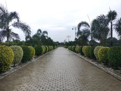 Image of 150 Sq.ft Residential Plot / Land for sale in Mansha Oaks, Sector 98, Faridabad for Rs. 21000000