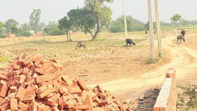 Image of 1350 Sq.ft Residential Plot / Land for sale in Barsana, Mathura for Rs. 3000000
