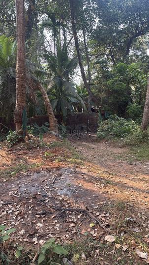 Chettikulam Main Image 1