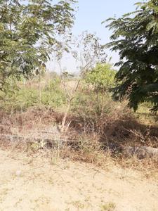Image of 1800 Sq.ft Residential Plot / Land for sale in Paidi Pally, Warangal for Rs. 270000