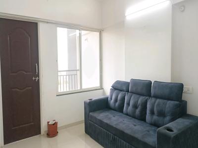 Living Room Image of 521 Sq.ft 1 BHK Apartment / Flat for rent in Wadgaon Sheri Pune for Rs. 23000