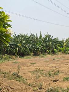 Image of 15000 Sq.ft Residential Plot / Land for sale in Kumhari, Bhilai for Rs. 9765000