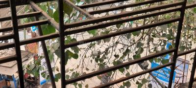 Balcony Image of 950 Sq.ft 2 BHK Apartment / Flat for sale in Naktala Kolkata for Rs. 3800000