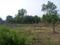 Hinjawadi Phase 3 Main Image 1