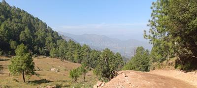 Image of 300 Sq.ft Residential Plot / Land for sale in Kausani, Almora for Rs. 2500000
