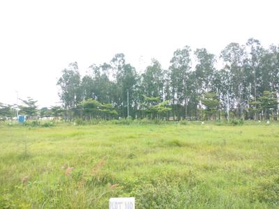 Image of 1320 Sq.ft Residential Plot / Land for sale in Electronic City, Bengaluru for Rs. 8500060