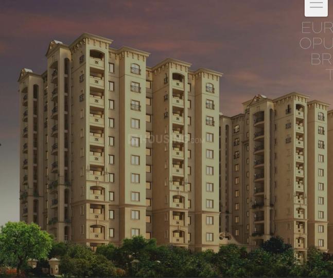 Legacy Saviero Main Image 1