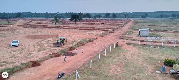 Pusapatirega Main Image 1