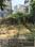 RWA Sec 71 Main Image 1