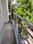 Balcony Image of Town home girls PG  in Sushant Lok Phase 1, Gurgaon