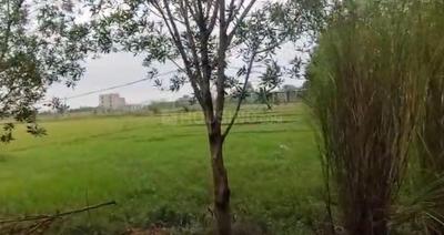 Lingipur Plot View 2
