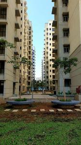 1 BHK Flat