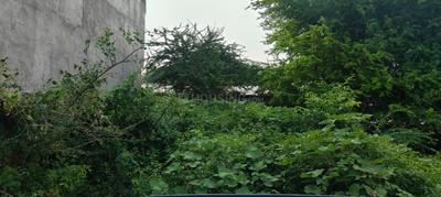 Image of 1012 Sq.ft Residential Plot / Land for sale in Khairabad, Sitapur for Rs. 1500000