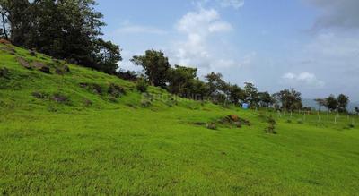 Image of 10000 Sq.ft Residential Plot / Land for sale in Khandad, Raigad for Rs. 350000
