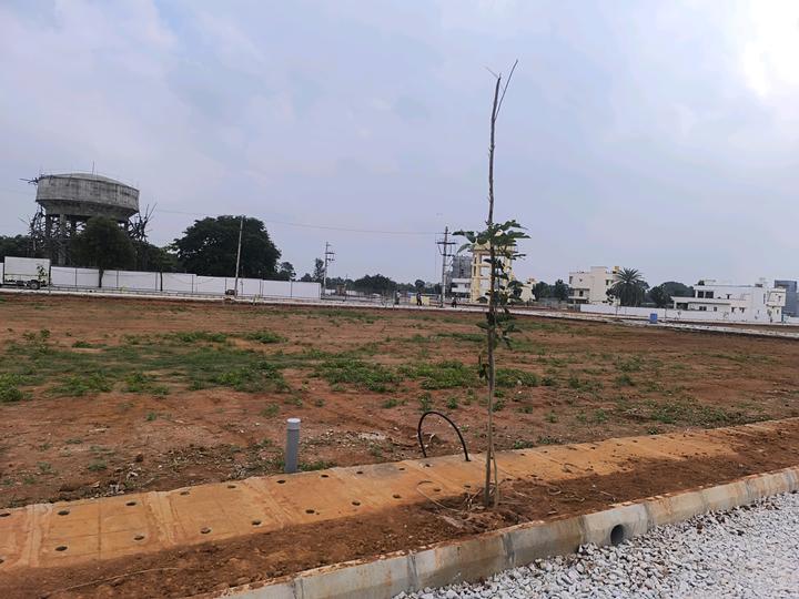 PGR Urban City Nandhi upachar Main Image 1