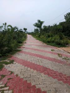 S A Nest Valley Part 3 Internal Roads 1