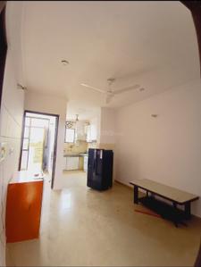 Hall Image of 1000 Sq.ft 2 BHK Builder Floor for rent in Sector 47 Gurgaon for Rs. 25000