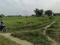 Sarnath Main Image 1