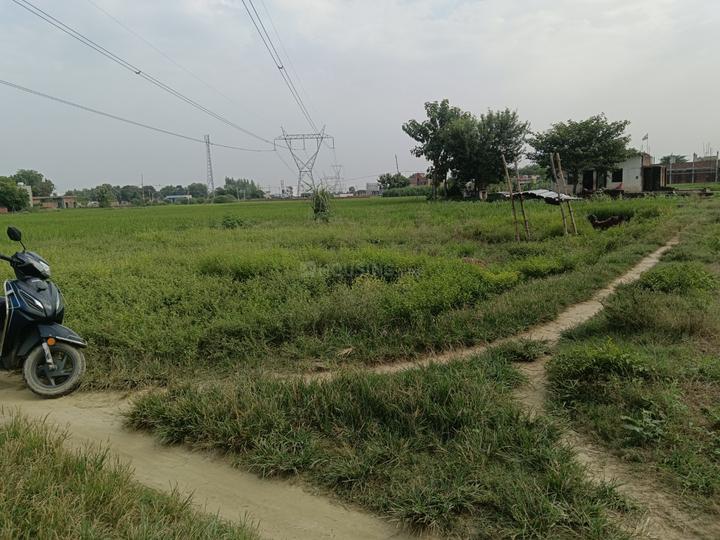 Sarnath Main Image 1