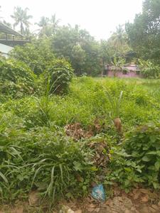 Image of 8712 Sq.ft Residential Plot / Land for sale in Amalanagar, Thrissur for Rs. 9600000