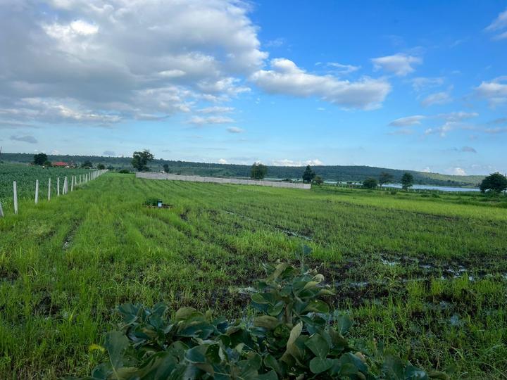 Neelbad Main Image 1