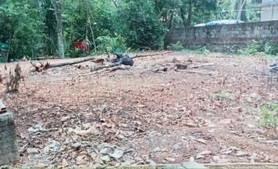 keralarealty Plot View 2