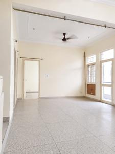 Hall Image of 1600 Sq.ft 3 BHK Apartment / Flat for rent in Phi II Greater Noida for Rs. 23000