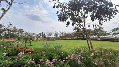 Image of 1000 Sq.ft Residential Plot / Land for sale in Amleshwar, Raipur for Rs. 1400000