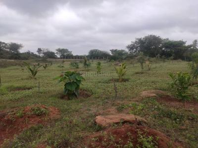 Image of 21780 Sq.ft Residential Plot / Land for sale in Shoolagiri, Krishnagiri for Rs. 3500000