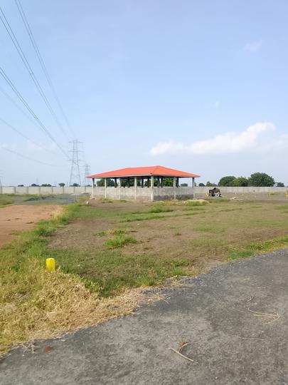 Lam Main Image 1