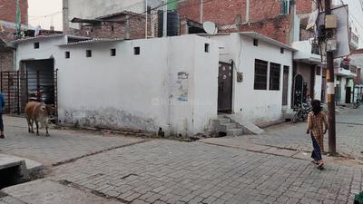 Maswanpur Plot View 2