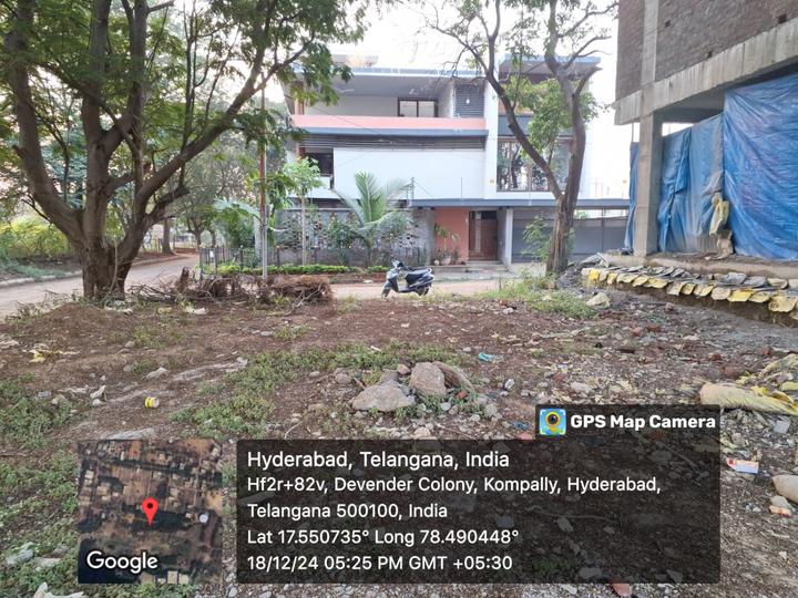 PALM GROVE Main Image 1