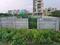 Residential VUDA Plot Plot View 2