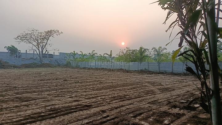 Shalbani Main Image 1