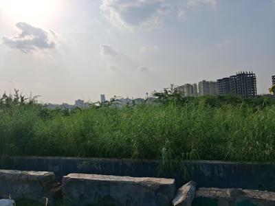 Image of 2143 Sq.ft Residential Plot / Land for sale in Sector 79, Noida for Rs. 35700000