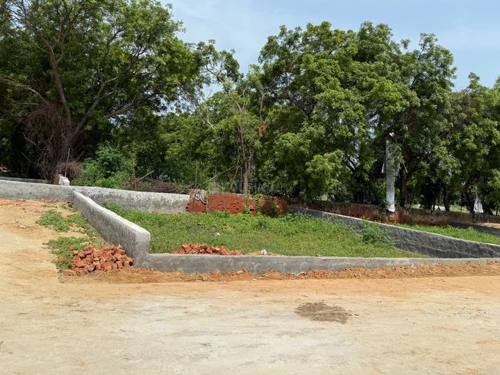 New Roshanpura Main Image 1