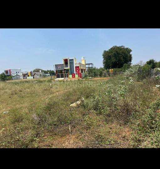 Pillayarpatti Main Image 1