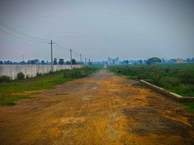 Ethora Plot View 1