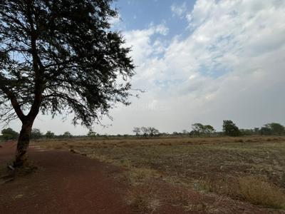 Image of 1000 Sq.ft 1 BHK Farm House for sale in Amleshwar, Raipur for Rs. 4100000