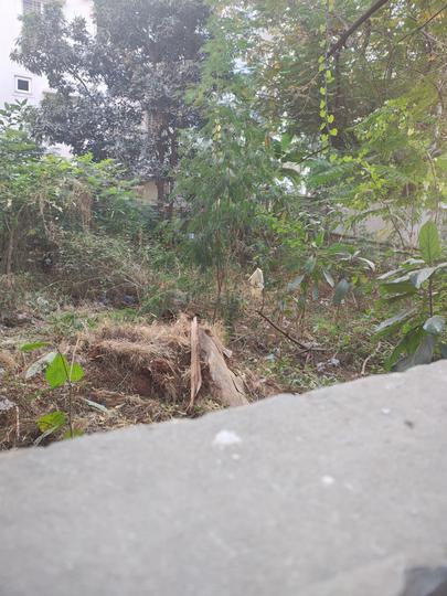ROYAL RAJPUTANA CO Main Image 1