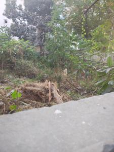 Image of 300 Sq.ft Residential Plot / Land for sale in Trimalgherry, Secunderabad for Rs. 30000000