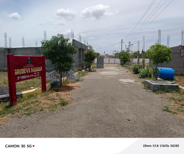 Lovedale Main Image 1