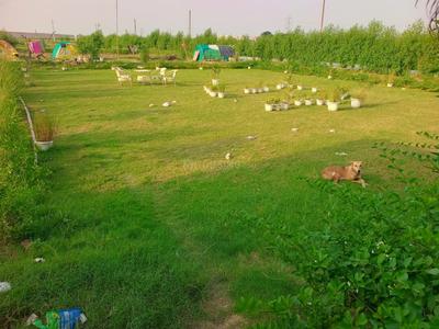 Image of 900 Sq.ft Residential Plot / Land for sale in Knowledge Park 3, Greater Noida for Rs. 3000000