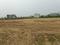 Asrawal Main Image 1